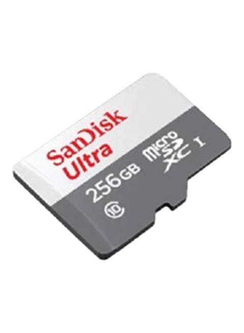بطاقة Ultra Microsdxc Uhs 1 سعة 256 جيجابايت بسرعة 100 ميجابايت/ثانية رمادية -Sdsqunr-256G-Gn3Mn، رمادية 256 جيجابايت 256 GB