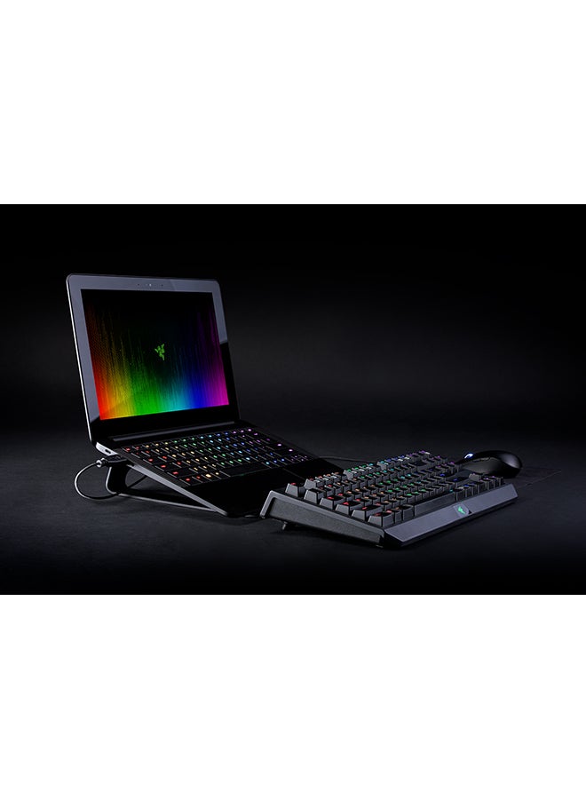 RAZER - Razer Laptop Stand RC21, Ergonomic Design with 18 degree inclanation, Designed for 15 inch laptops, Anodized Aluminum Construction - Black - Image 1