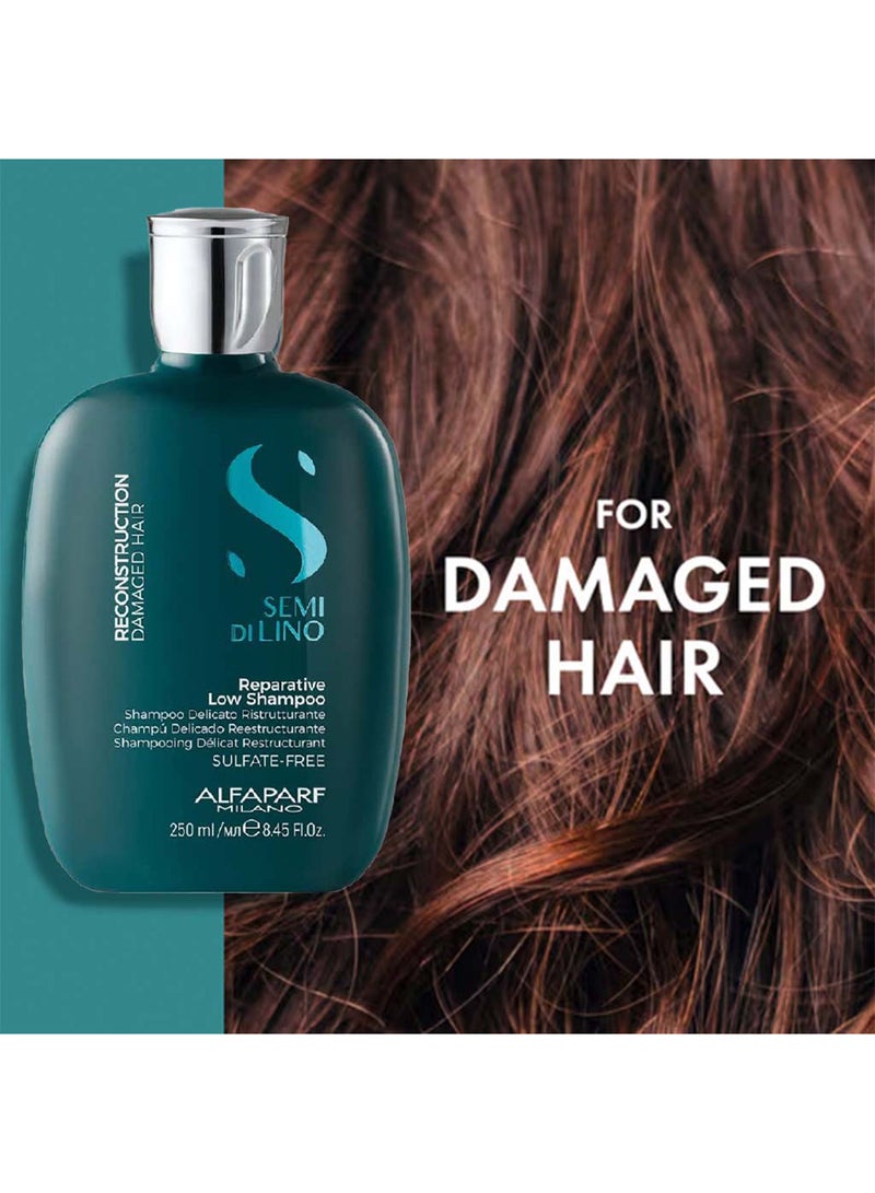 ALFAPARF - Semi Di Lino Reconstruction Reparative Low Shampoo (Damaged Hair) 250ml - Image 1