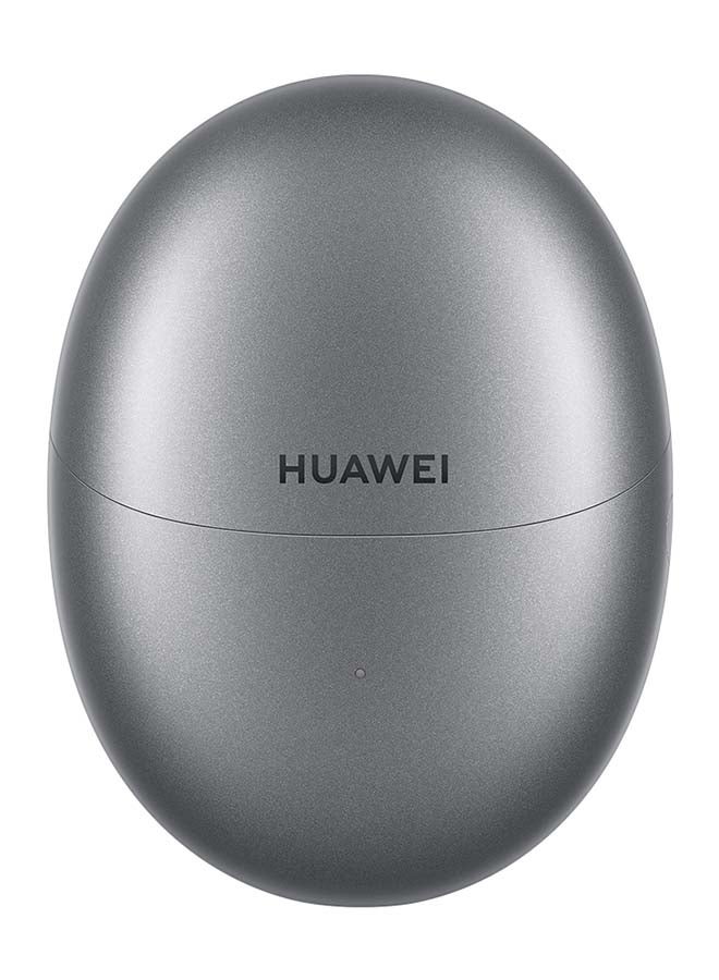 Free Buds 5 Silver Frost