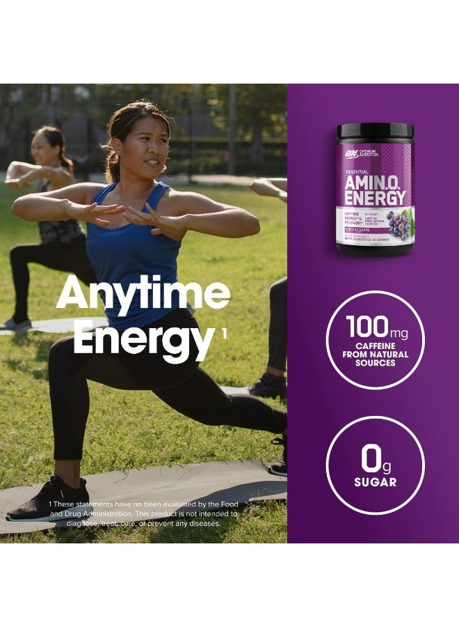 أوبتيموم نيوتريشن الطاقة الأمينية قبل التمرين مع الشاي الأخضر والأحماض الأمينية BCAA ومستخلص القهوة الخضراء الصديقة للكيتو صفر جرام من السكر في أي وقت مسحوق الطاقة كونكورد العنب 30 حصة - Image 4