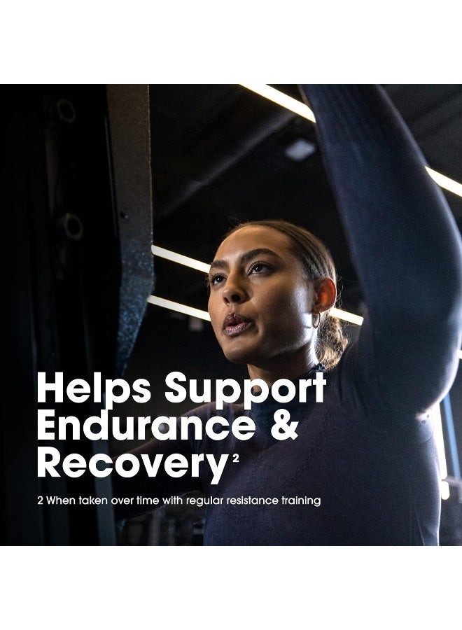 Gold Standard 100% Whey Protein Powder Primary Source Isolate, 24 Grams of Protein for Muscle Support and Recovery - Double Rich Chocolate, 10 Lbs, 149 Servings (4.54 KG)