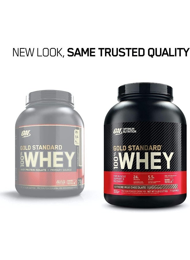 Gold Standard 100% Whey Protein Powder Primary Source Isolate, 24 Grams of Protein for Muscle Support and Recovery - Extreme Milk Chocolate, 5 Lbs, 71 Servings (2.27 KG)