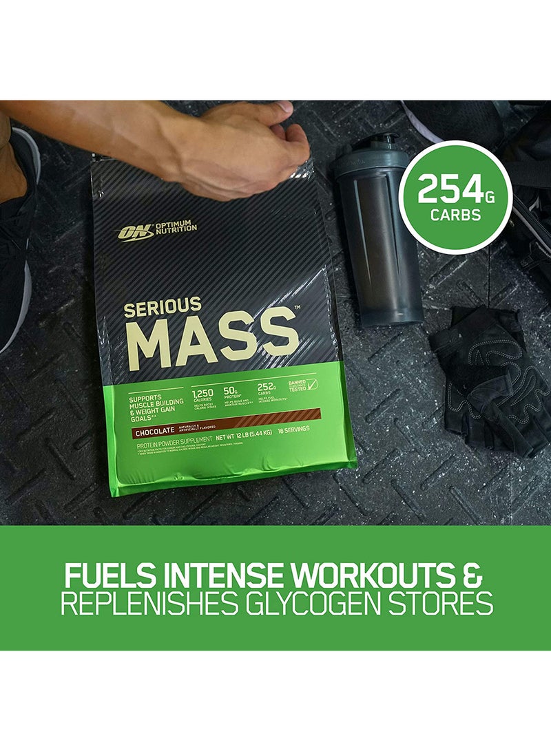 Optimum Nutrition Serious Mass: High Protein Muscle Building & Weight Gainer Protein Powder, 50 Grams Of Protein, Vitamin C, Zinc  - Vanilla, 12 Lbs (5.44 KG)  - Image 4