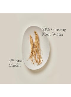 Beauty of Joseon Revive Serum Snail Mucin Ginseng Hydrating Repairing Peptide Facial Moisturizer, Dark Spot Acne Scar Dull Skin Fine Lines, Korean Skin Care for Men and Women, 30ml Red 30ml  - Image 3