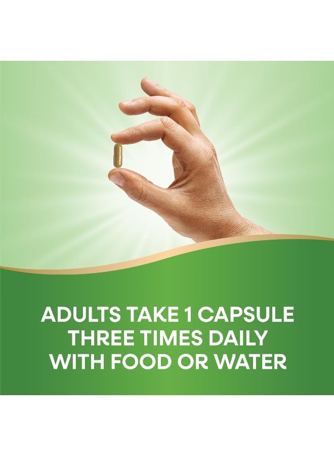 Milk Thistle 60 Vegan Capsules