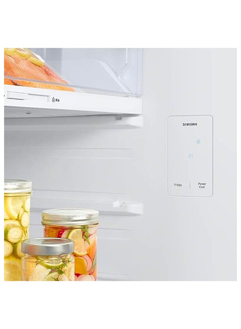Samsung - 460L Net Capacity Top Mount Frost Free Freezer Refrigerator With Optimal Fresh+ And Space Max, Digital Inverter Compressor (RT66CG6406S9) RT47CG6406S9AE Silver - Image 1