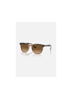 Full Rim Pilot Sunglasses 2398-56-1292-M2