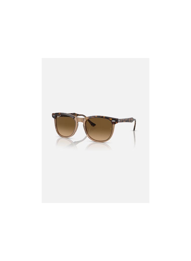Ray-Ban - Full Rim Pilot Sunglasses 2398-56-1292-M2 - Image 1