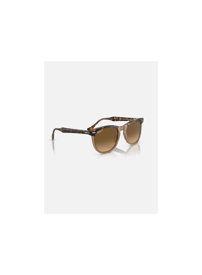 Ray-Ban - Full Rim Pilot Sunglasses 2398-56-1292-M2 - Image 1