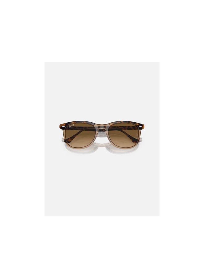 Ray-Ban - Full Rim Pilot Sunglasses 2398-56-1292-M2 - Image 1