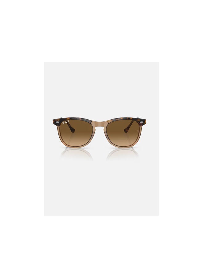 Ray-Ban - Full Rim Pilot Sunglasses 2398-56-1292-M2 - Image 1