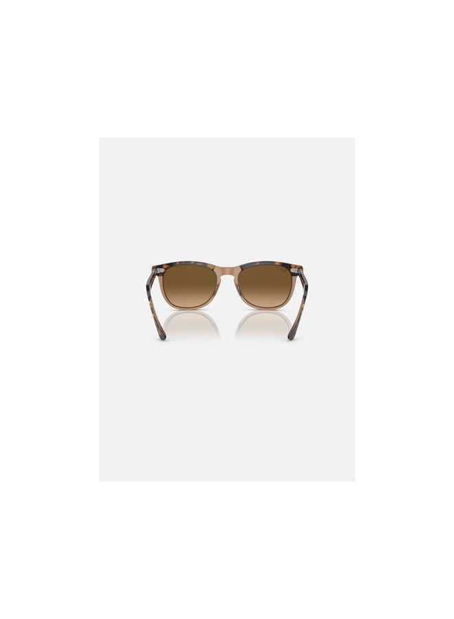 Ray-Ban - Full Rim Pilot Sunglasses 2398-56-1292-M2 - Image 1