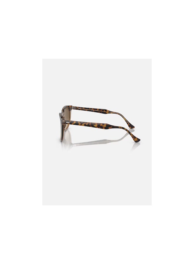 Ray-Ban - Full Rim Pilot Sunglasses 2398-56-1292-M2 - Image 1