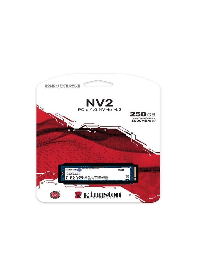 كينغستون - كينغستون NV2 250 جيجابايت M.2 NVMe PCIe 4.0 SSD داخلي - Image 1
