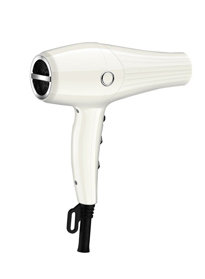 7-Piece Professional Hair Dryer Set, 2500W White - pnsku/N70003043V/45/_/1695360691/5fc0add2-feb8-4cf4-9d93-dbf21cf7b9ec