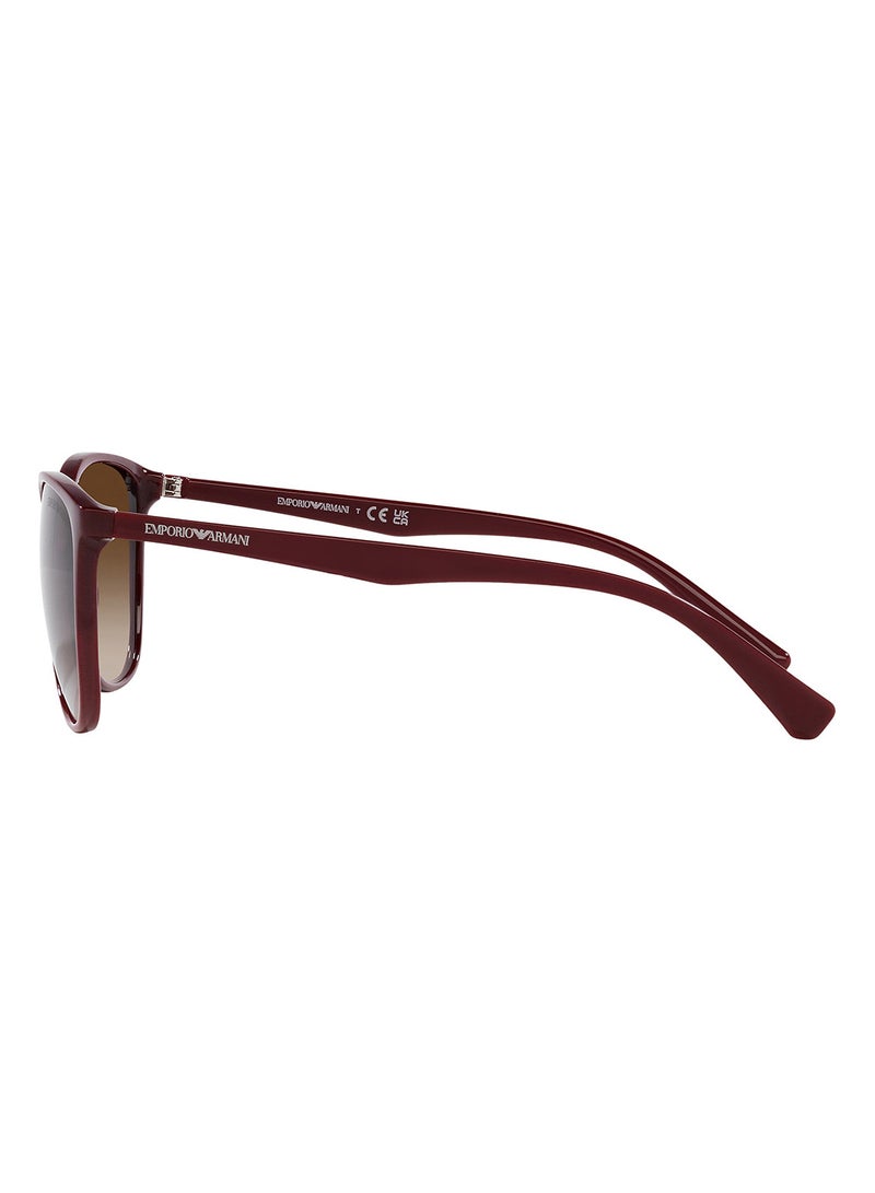 EMPORIO ARMANI Women's Cat Eye Sunglasses - EA4073 5576/13 56 - Lens Size: 56 Mm  - Image 3