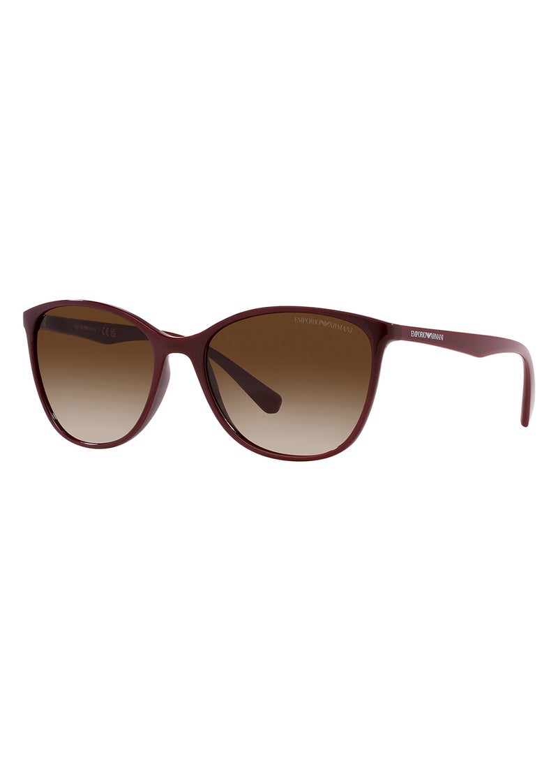 EMPORIO ARMANI Women's Cat Eye Sunglasses - EA4073 5576/13 56 - Lens Size: 56 Mm  - Image 2