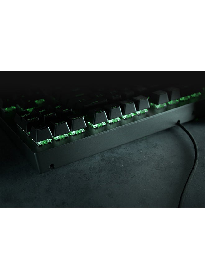 RAZER Razer Blackwidow V3 Tenkeyless KB(Yelloswch)-US - Image 3