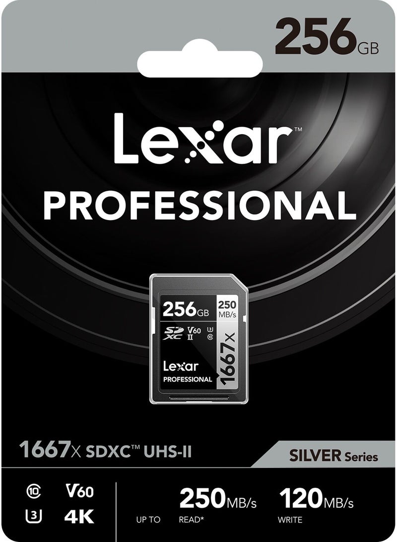 Lexar 256GB Professional 1667x UHS-II SDXC Memory Card - 10 years warranty - official distributor 256 GB - Image 3