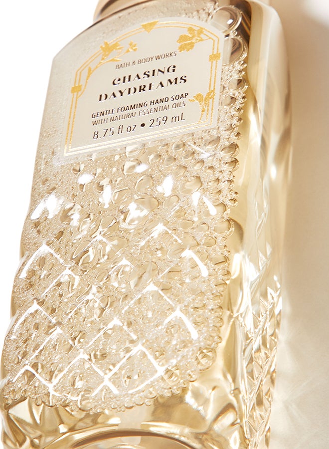 Chasing Daydreams Gentle Foaming Hand Soap 258.125ml