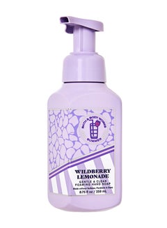 Wildberry Lemonade Gentle And Clean Foaming Hand Soap 259ml - pnsku/N70011792V/45/_/1723454328/0f2bc3d9-89b6-4fb5-8e85-af58333d87df