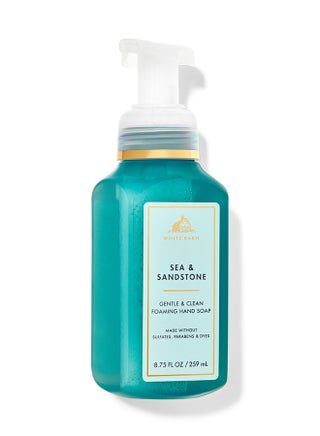 Sea And Sandstone Gentle And Clean Foaming Hand Soap 258.125ml - pnsku/N70011798V/45/_/1696582981/c0bed645-03c3-4b69-a4cc-6e61c1c326a8