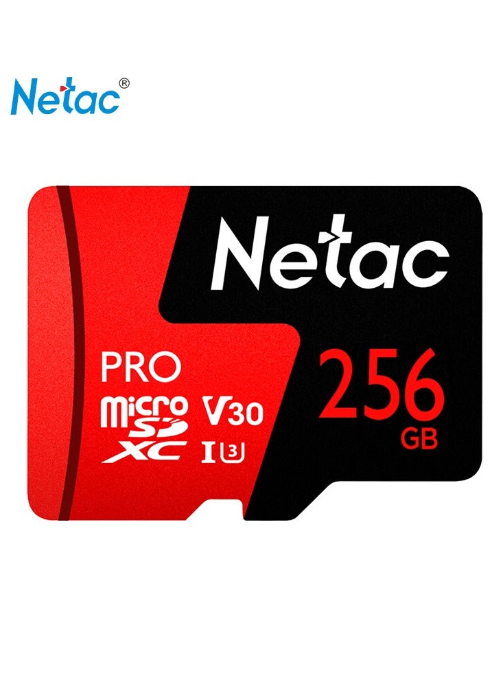نيتاك - بطاقة ذاكرة Micro SD سعة 256 جيجابايت SDXC UHS-I بطاقة ذاكرة فلاش تسجيل فيديو عالي الدقة بالكامل U3 Class10 V30 A1 256 جيجابايت - Image 1