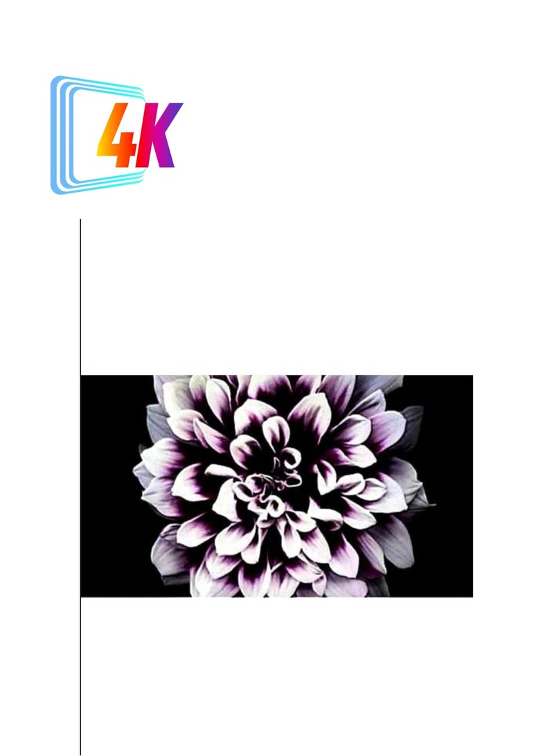 Samsung Wall 146" 4K HDR Commercial Monitor STW-146-4K-CM Black - Image 1