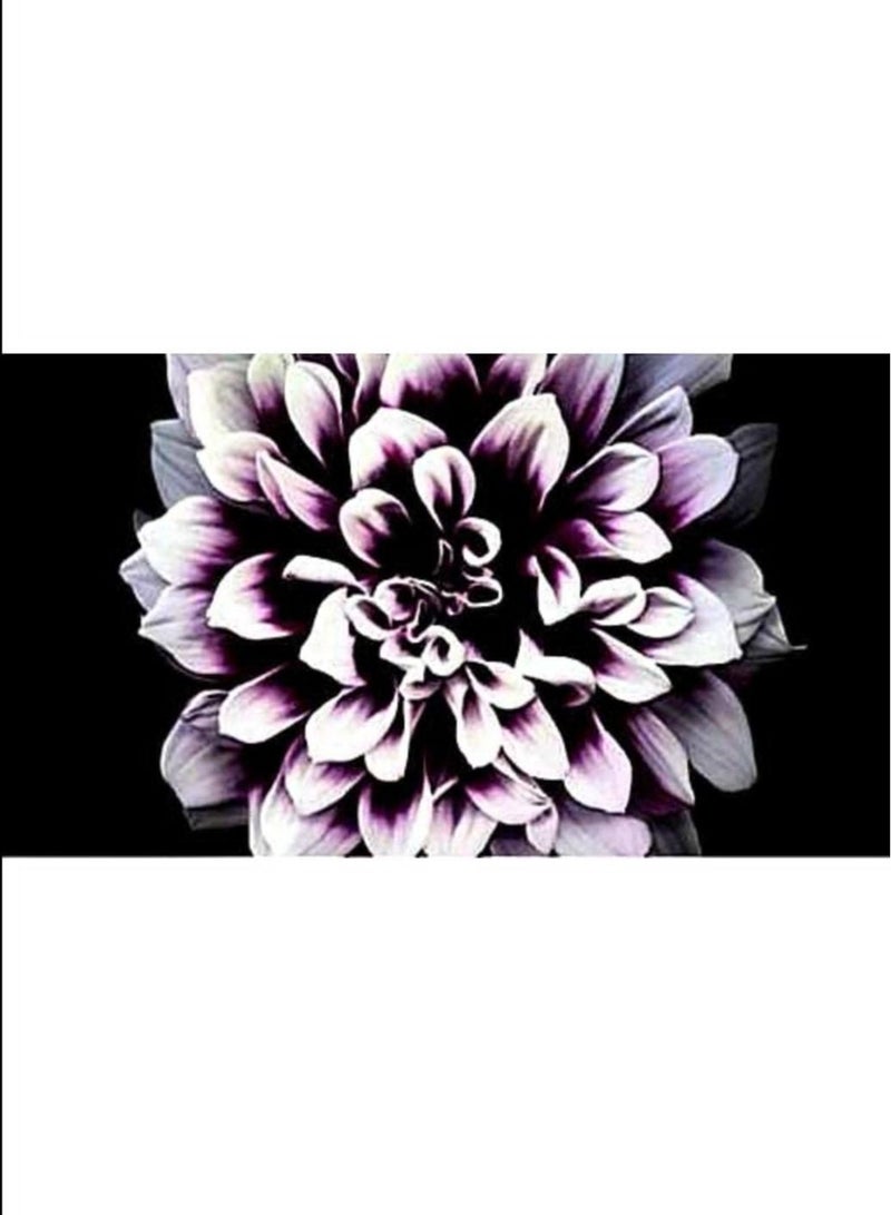 Samsung Wall 146" 4K HDR Commercial Monitor STW-146-4K-CM Black - Image 1