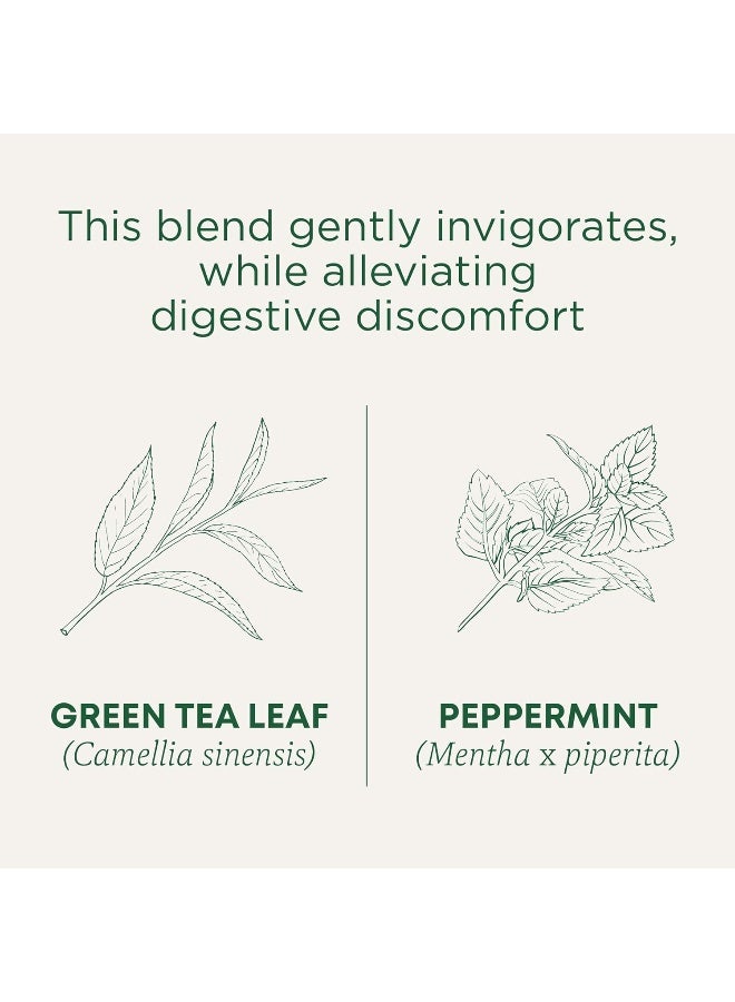Traditional Medicinals Organic Green Tea Peppermint 16 Tea Bags  - Image 3