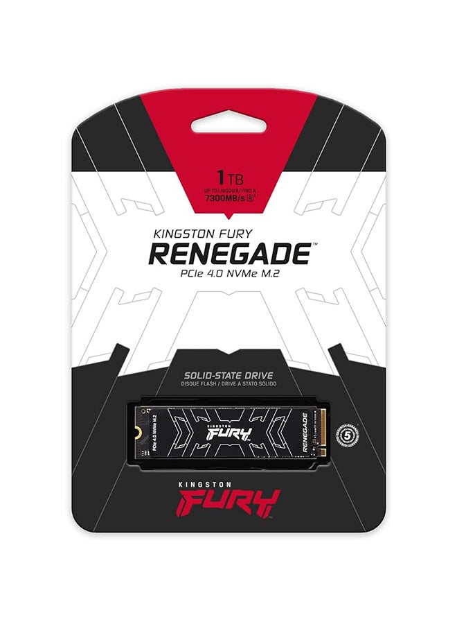 بطاقة ذاكرة Fury Renegade M.2 2280 TLC NVMe - pnsku/N70024079V/45/_/1700547464/283250e2-fc1c-4ca1-999a-a247a1937630