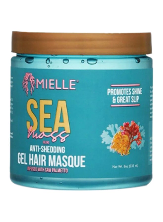 قناع الشعر جل مضاد لتساقط الشعر من الطحالب البحرية