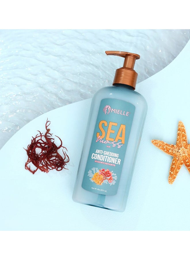 MIELLE Sea Moss Conditioner Clear 235ml  - Image 3