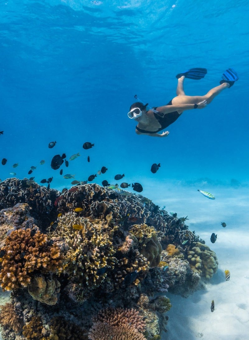 Suunto Race Titanium Performance Watch HD Amoled Screen, Digital Crown, Heart Rate Variability, Racing And Training, Long Battery, Offline Maps, Dual-Band GPS/GNSS, 95+ Sports Mode, Planner Charcoal - Image 5