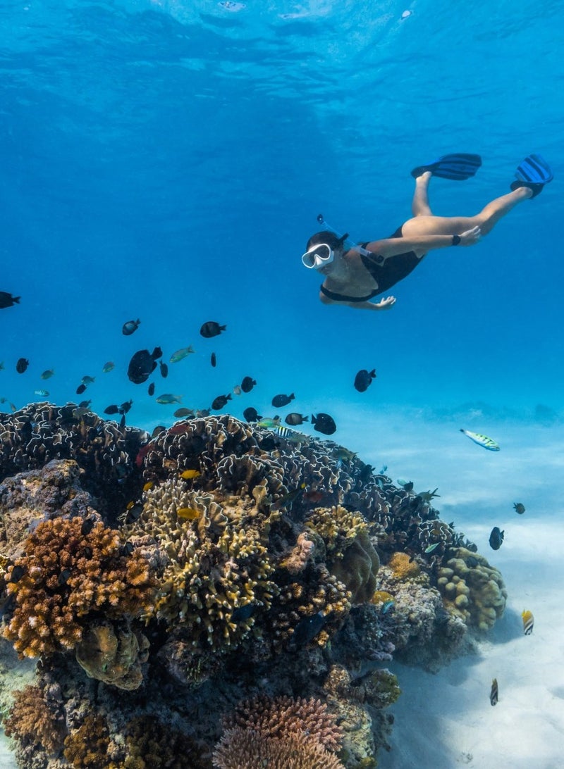 Suunto Race Stainless Performance Watch HD Amoled Screen, Digital Crown, Heart Rate Variability, Racing And Training, Long Battery, Offline Maps, Dual-Band GPS/GNSS, 95+ Sports Mode, Planner Birch - Image 4