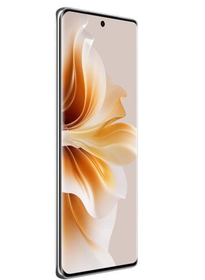 أوبو هاتف Reno 11 Pro بسعة 12 جيجابايت + 256 جيجابايت، إصدار صيني فضي 5G  - Image 4