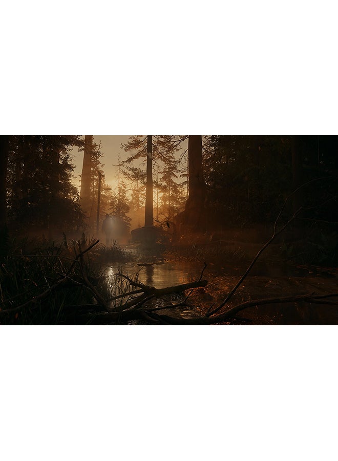 Alan Wake 2 - PlayStation 5 (PS5) - pnsku/N70029898V/45/_/1702382406/54210c4d-8ec9-41f4-82ed-9c17df941e11