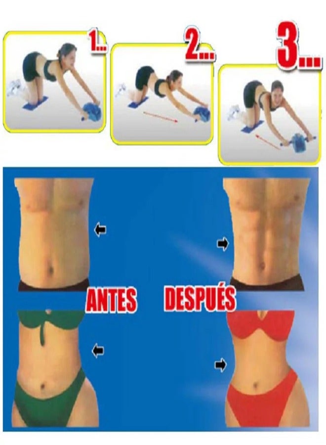 بودي بيلدر عجلة دوارة رياضية من Body Builder مقاس متوسط 38-1144 - Image 2