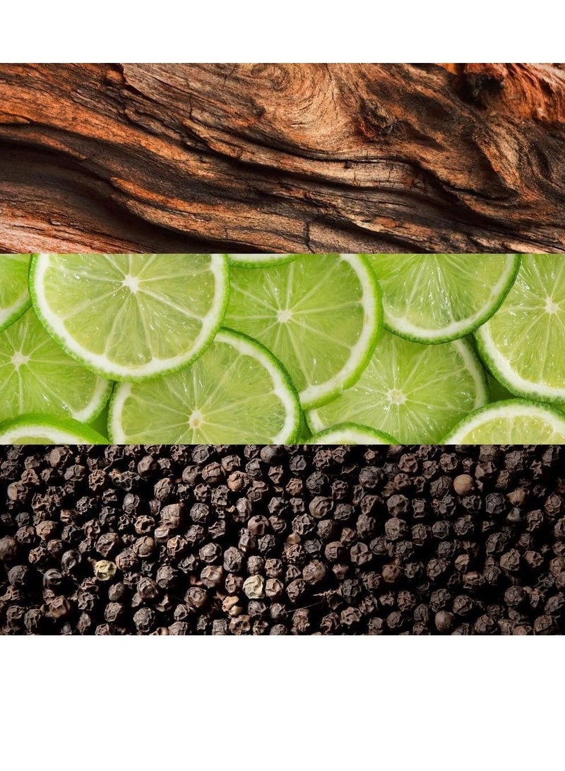 LACOSTE Essential EDT For Men 125ml - Image 4