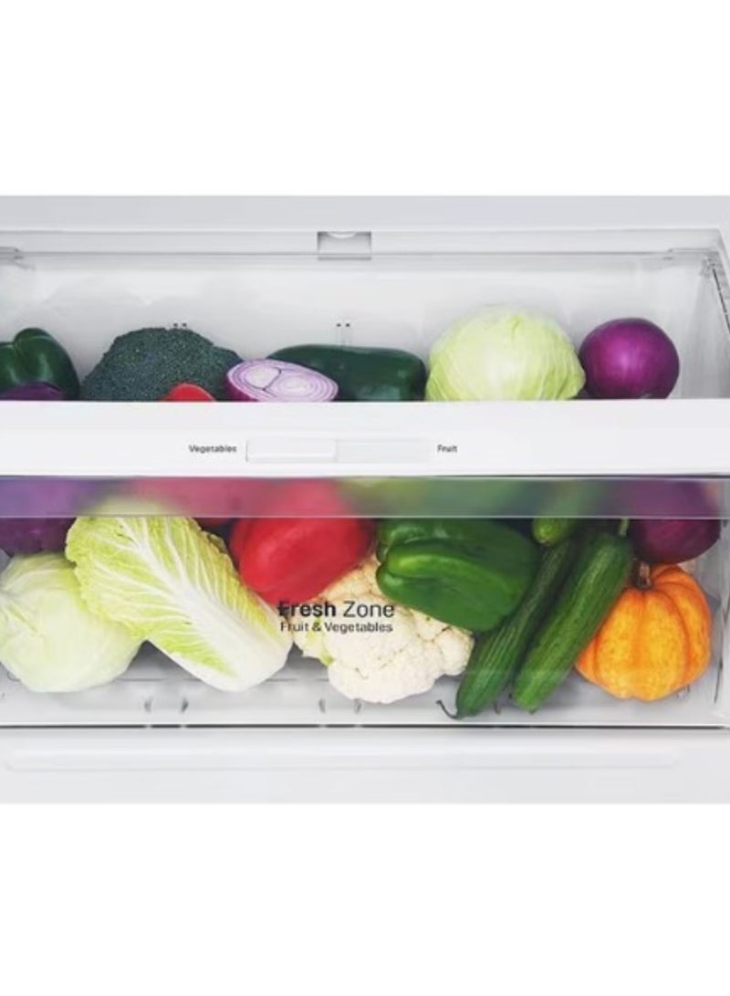 LG GN-F722HLHL- G 509L Refrigerator, 18 Compartments, Dispenser, Hygiene Fresh Purification Filter, Door Cooling Function GN-F722HLHL silver - Image 5