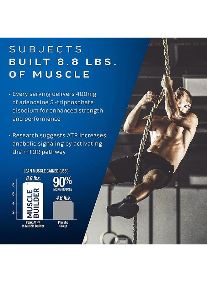 MuscleTech Muscle Builder 30ct US (RB) - Image 3