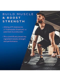ماسل تيك مكمل بناء العضلات من شركة MuscleTech، 30 قرصًا أمريكيًا (RB)  - Image 2