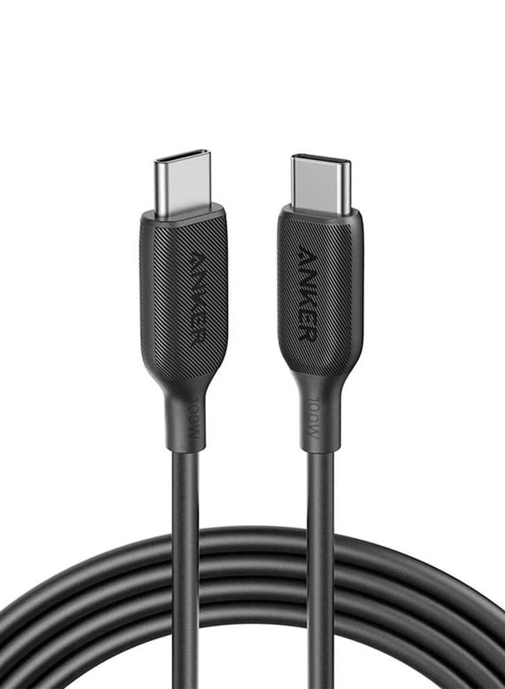 Anker PowerLineIII USB-C To USB-C 100W 2 Cable 6ft B2B Black 
