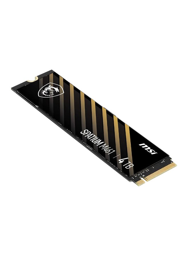 MSI SPATIUM M461 PCIe 4.0 NVMe M.2 4TB Internal SSD PCIe Gen4 NVMe (SPATIUM M461 PCIe 4.0 NVMe M.2 4TB) 4 TB  - Image 3