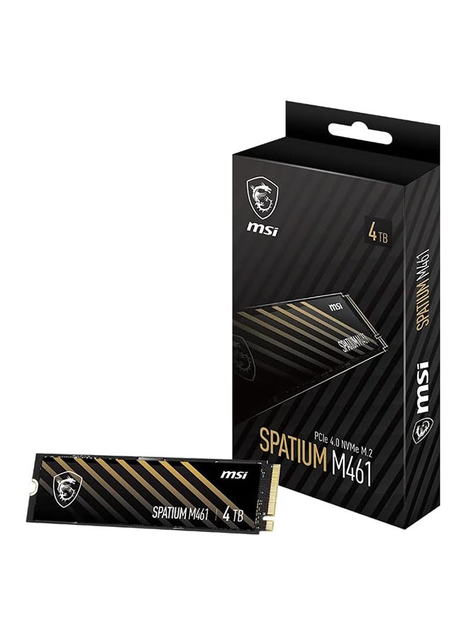 MSI SPATIUM M461 PCIe 4.0 NVMe M.2 4TB Internal SSD PCIe Gen4 NVMe (SPATIUM M461 PCIe 4.0 NVMe M.2 4TB) 4 TB  - Image 1