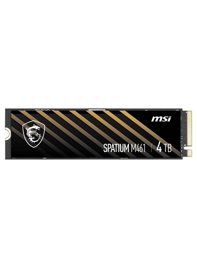 MSI SPATIUM M461 PCIe 4.0 NVMe M.2 4TB Internal SSD PCIe Gen4 NVMe (SPATIUM M461 PCIe 4.0 NVMe M.2 4TB) 4 TB  - Image 2