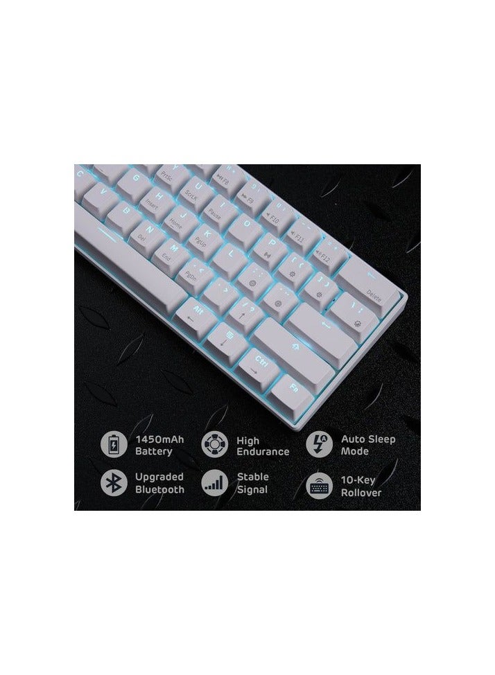 Royal Kludge - Royal Kludge Rk61 Tri-Mode RGB 61 Keys Hot Swappable White Mechanical Keyboard (Blue Switch) - Image 1