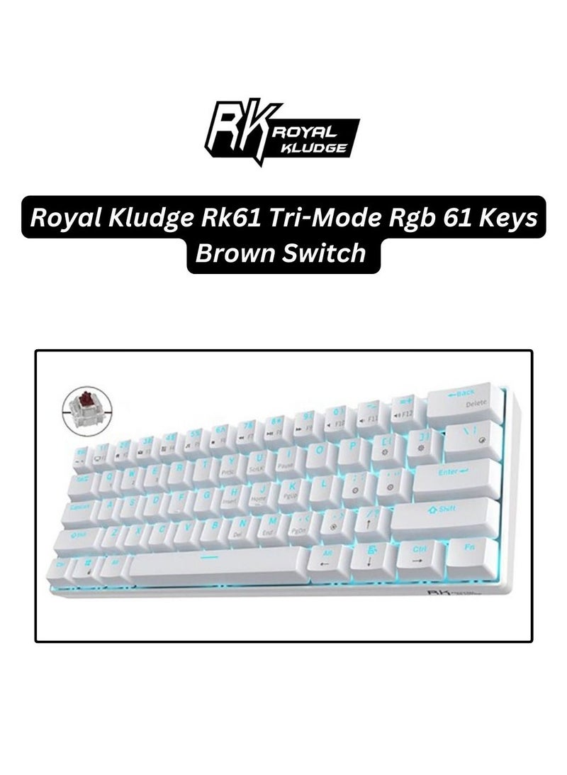 Royal Kludge - Royal Kludge Rk61 Tri-Mode RGB 61 Keys Hot Swappable White Mechanical Keyboard (Brown Switch) - Image 1