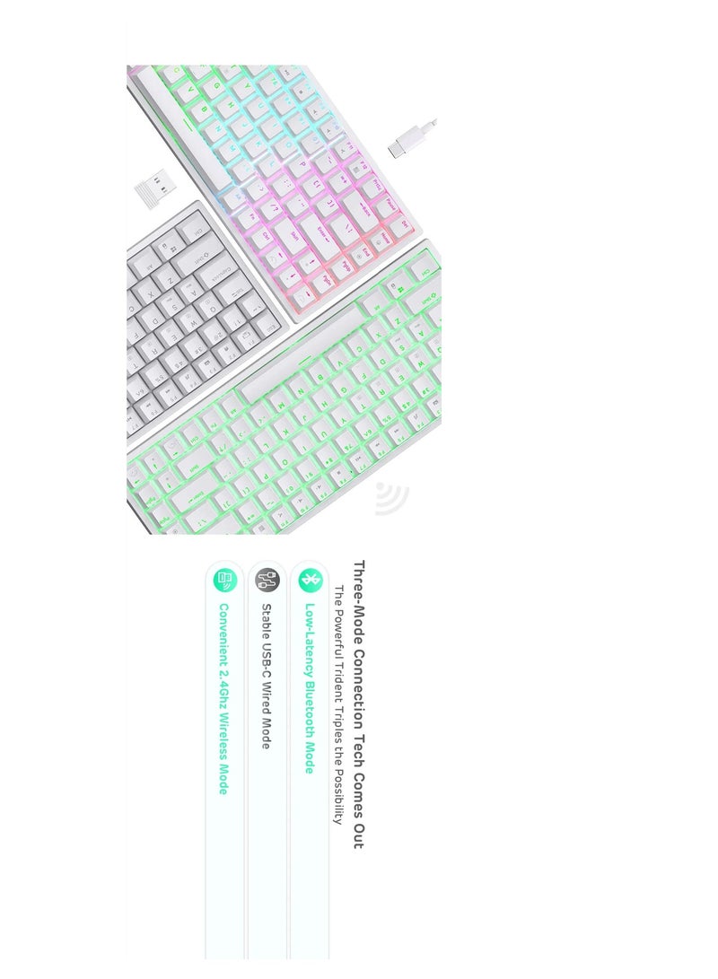 Royal Kludge RK84 Tri-Mode RGB 84 Keys Hot Swappable Mechanical Keyboard White (Blue Switch)